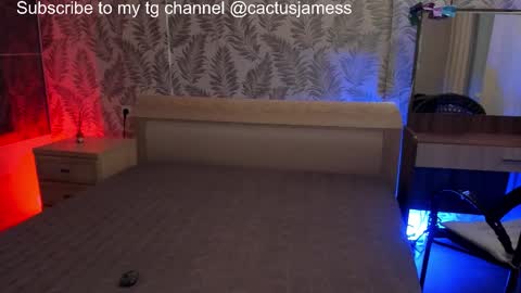 Snapshot of cactusjames_69 chatting on 10.27.25 James online show from 10.27.25