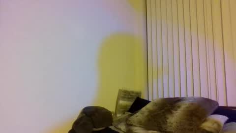 Snapshot of cal_xxx chatting on 11.01.25 Cal XXX online show from 11.01.25