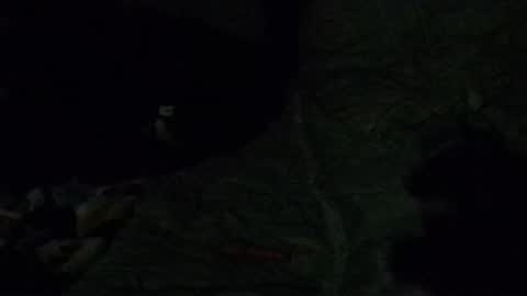 Calisguitar online show from 12.29.24