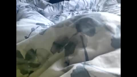 callmedaddyyouslut44 online show from 03.02.26