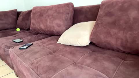 My name is Robert  Dont be shysay hi I love to chat. For requests or dirty talk please use tips  online show from 02.20.26