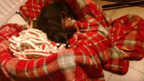 Snapshot of camdoattitude chatting on 01.28.25 CamDoAttitude online show from 01.28.25