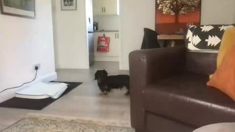 Snapshot of camdoattitude chatting on 09.23.25 CamDoAttitude online show from 09.23.25