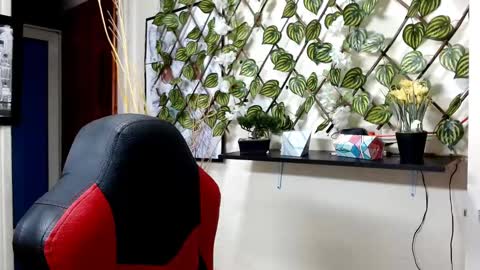 Snapshot of cameliasaenz chatting on 01.28.25 camelia online show from 01.28.25