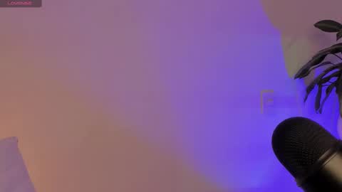 camila   online show from 03.01.25