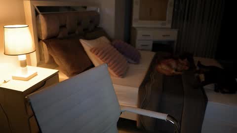 Camila buitrago online show from 11.18.25