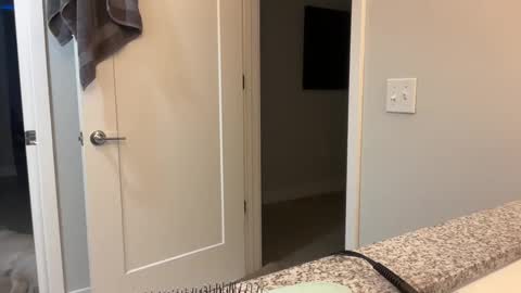 Snapshot of camiliakxoxo chatting on 12.08.24 camiliakxoxo online show from 12.08.24