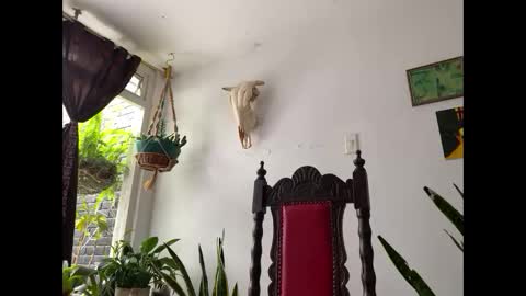 Snapshot of camille_delrey chatting on 11.08.25 Camille online show from 11.08.25