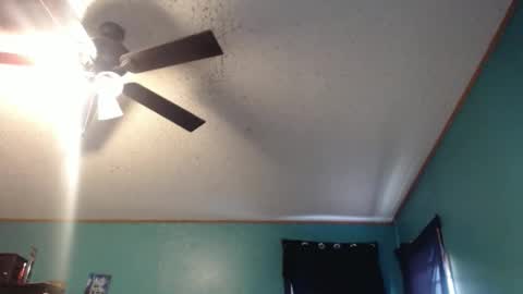 candyshop2024 online show from 12.17.25