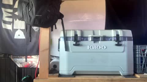 CAP online show from 09.17.25