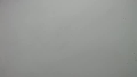 carla online show from 02.19.25