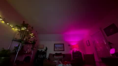 carlacee online show from 03.07.26