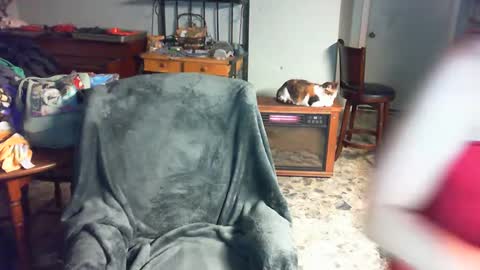 Carley online show from 12.02.24