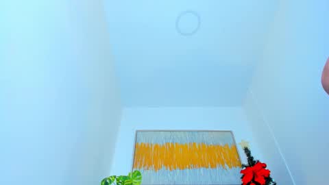 Snapshot of carlota_peach chatting on 01.08.25 Andrea online show from 01.08.25