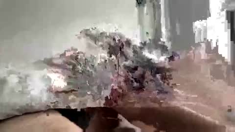 Snapshot of carnifex5 chatting on 02.26.26 carnifex5 online show from 02.26.26