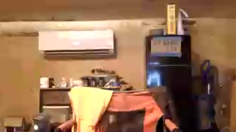 carolinablazefan online show from 06.14.26
