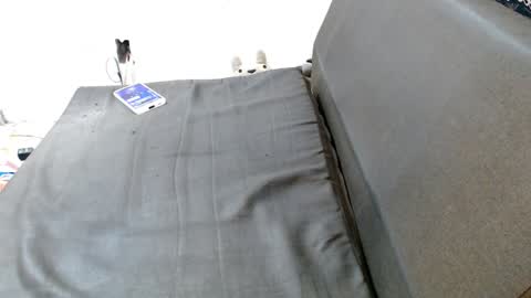 carol my sign is capricorn online show from 12.19.24