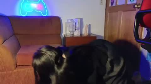 kitty online show from 12.07.24