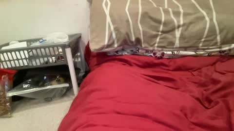 Snapshot of casanovacasaa chatting on 02.20.25 casanovacasaa online show from 02.20.25