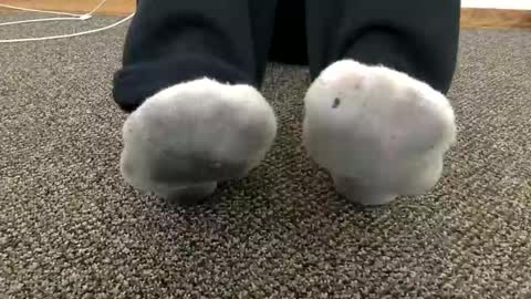 cash13bychanel online show from 11.14.25