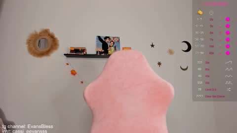 Snapshot of cassie_evansss chatting on 12.04.25 Cassie online show from 12.04.25