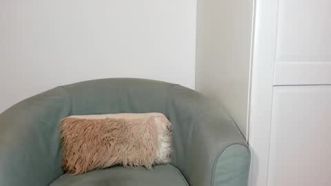 Snapshot of cassieandmarco chatting on 03.26.26 cassiecute - onlyfans account online show from 03.26.26