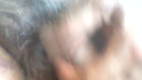 castells online show from 06.26.26