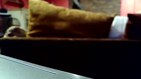 castration40 online show from 10.17.25