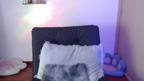 cat online show from 01.21.25