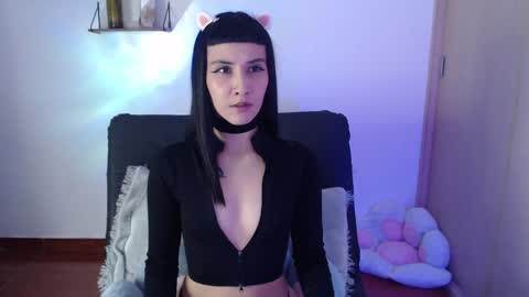 cat online show from 01.22.25