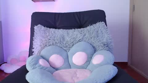 cat online show from 01.28.25