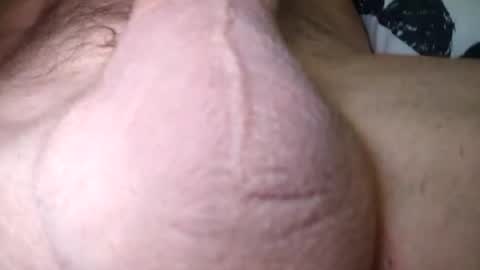 catkot912 online show from 09.19.25