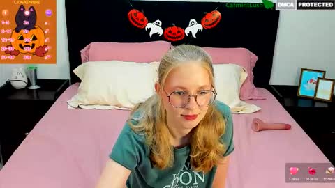 CatmintLush online show from 10.19.25