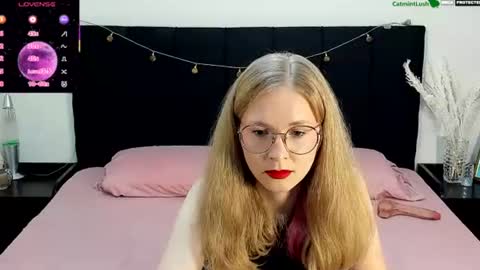 CatmintLush online show from 07.08.26
