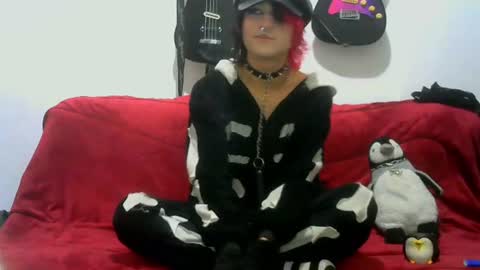 Cat online show from 06.27.26