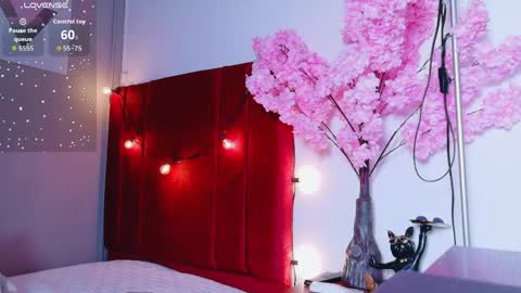 CATALEYA  online show from 04.05.26