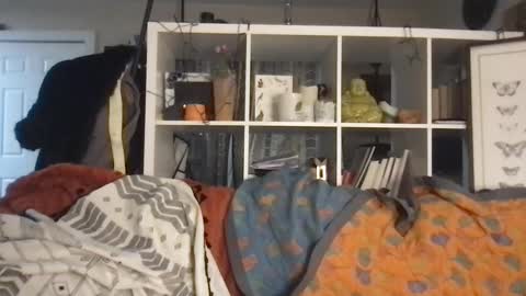 cattypants online show from 09.10.25