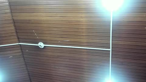 Snapshot of caylincollins chatting on 02.02.26 caylincollins online show from 02.02.26