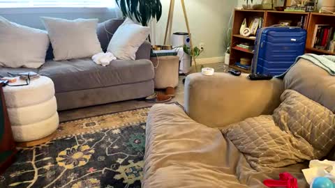 Coach Daddy online show from 02.22.26