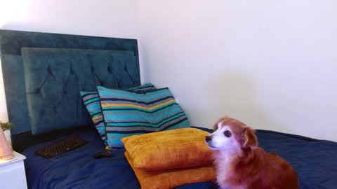 Snapshot of cedrixx10 chatting on 10.25.25 Cedrixx10 online show from 10.25.25