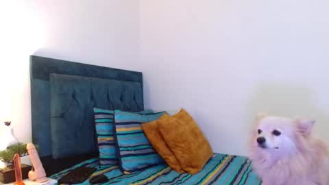 Snapshot of cedrixx10 chatting on 11.11.25 Cedrixx10 online show from 11.11.25