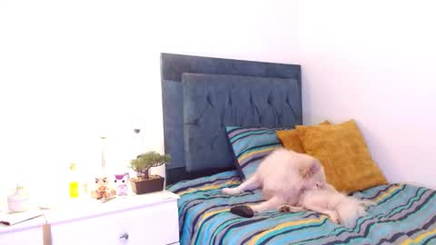 Snapshot of cedrixx10 chatting on 12.16.25 Cedrixx10 online show from 12.16.25