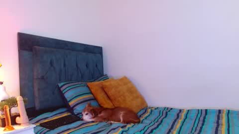 Snapshot of cedrixx10 chatting on 12.19.25 Cedrixx10 online show from 12.19.25