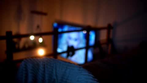 Snapshot of celeste_www chatting on 02.14.26 Sunflower online show from 02.14.26