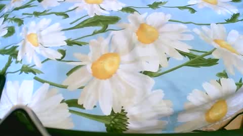 cerminah online show from 11.19.25