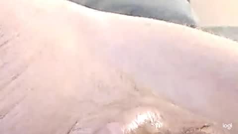 Snapshot of cfnmkinky28 chatting on 12.17.24 cfnmkinky28 online show from 12.17.24