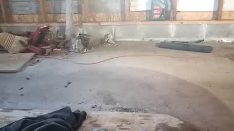 Snapshot of chadr1616 chatting on 11.15.25 chadr1616 online show from 11.15.25