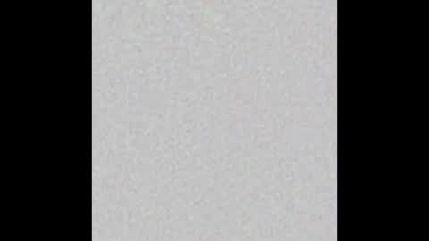 Charlotte online show from 01.12.26