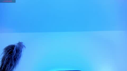 Snapshot of charlotte_whitee1 chatting on 10.12.25 Charlotte Everyday From 0700 to 1300 Col Time online show from 10.12.25