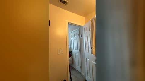 Snapshot of chase2attract chatting on 03.04.26 Chase2Attract online show from 03.04.26